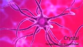  Presentation with cell - Colorful presentation design enhanced with nerve cell - neurone backdrop and a coral colored foreground