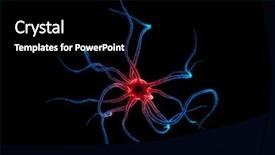  Presentation with nerve - PPT theme having nerve cell - neurone background and a black colored foreground