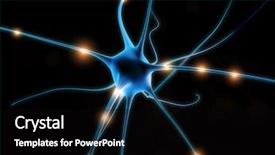  Presentation with nerve - Amazing slide deck having nerve cell backdrop and a black colored foreground