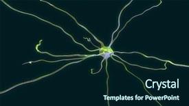  Presentation with nerve - Colorful presentation design enhanced with nerve cell backdrop and a navy blue colored foreground