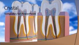 Presentation with anatomy - PPT theme having nerve fiber - anatomy of the tooth background and a  colored foreground