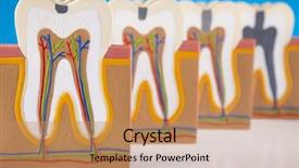  Presentation with structure - Presentation enhanced with nerve fiber - human tooth structure background and a coral colored foreground