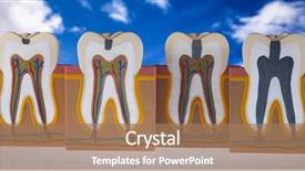  Presentation with machine tool structure - Presentation design enhanced with nerve fiber - human tooth structure background and a coral colored foreground