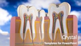  Presentation with machine tool structure - Slide set having nerve fiber - human tooth structure background and a  colored foreground
