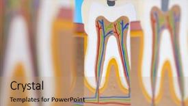  Presentation with machine tool structure - Presentation theme featuring nerve fiber - human tooth structure background and a coral colored foreground