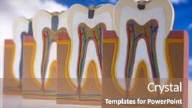  Presentation with structure - Presentation theme consisting of nerve fiber - human tooth structure background and a coral colored foreground