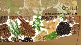  Presentation with nervous system - Presentation theme with nervine-food-herbal-medicine background and a coral colored foreground