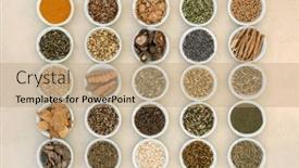  Presentation with nervous system - Theme having nervine-food-herbal-plant-medicine background and a coral colored foreground