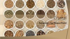  Presentation with nervous system - Presentation theme having nervine-health-food-and-herb background and a coral colored foreground