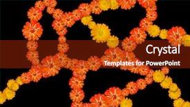  Presentation with nervous system - PPT theme having nervous system - flower net background and a tawny brown colored foreground