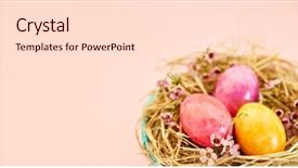  Presentation with eggs egg carton egg box - PPT theme with nest for easter as header background and a lemonade colored foreground