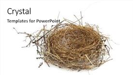  Presentation with condolence white wax candle - Amazing PPT theme having nest isolated on white background backdrop and a white colored foreground