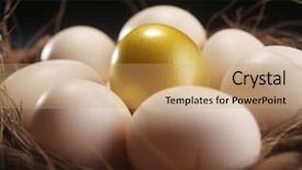  Presentation with gold egg - Cool new presentation with nest of egg with one backdrop and a  colored foreground
