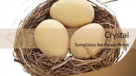  Presentation with egg - PPT layouts enhanced with nest with egg background and a coral colored foreground