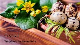  Presentation with holiday - PPT theme enhanced with nest with eggs and yellow background and a red colored foreground