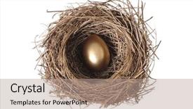  Presentation with bird out of cage - Audience pleasing slides consisting of nest with single golden egg backdrop and a coral colored foreground