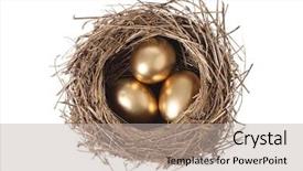  Presentation with bird - Audience pleasing PPT layouts consisting of nest with three golden egg backdrop and a mint green colored foreground