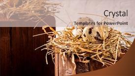  Presentation with holiday or mardi gras beads - Presentation design consisting of nesting - easter holiday background grass nest background and a soft green colored foreground