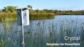  Presentation with marsh - Slide set with nesting-box-at-san-joaquin background and a ocean colored foreground