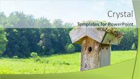  Presentation with meadow - PPT theme having nesting-box-on-green-meadow background and a sky blue colored foreground