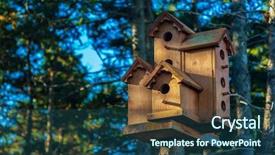  Presentation with rustic herbs on wood - Theme with nestle food - collection of rustic wooden birdhouses background and a ocean colored foreground