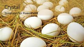  Presentation with nestle - Audience pleasing PPT layouts consisting of nestle food - easter background of many eggs backdrop and a yellow colored foreground