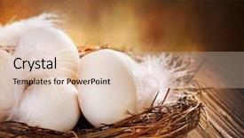  Presentation with easter - Theme consisting of nestle food - easter eggs in the nest background and a lemonade colored foreground