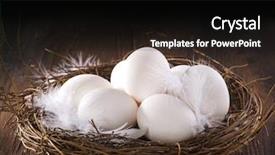  Presentation with easter - Theme consisting of nestle food - easter eggs in the nest background and a black colored foreground