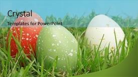  Presentation with speckled sheep - Audience pleasing presentation theme consisting of nestle food - three speckled eggs in grass backdrop and a light blue colored foreground