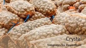  Presentation with paper bag vs plastic bags - Slide set consisting of net beans - potatoes in the bags background and a coral colored foreground
