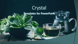  Presentation with nettle - Slide deck featuring nettle-tea-and-fresh-nettle background and a navy blue colored foreground