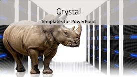  Presentation with server - Slide set with closeup of a green color cactus plant background and a tawny brown colored foreground