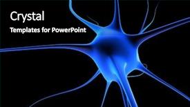  Presentation with nerve - Audience pleasing presentation theme consisting of neurone cell backdrop and a black colored foreground