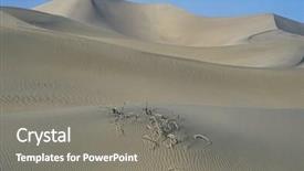  Presentation with roots in soil - Beautiful presentation featuring nevada desert - roots in sand dune backdrop and a  colored foreground