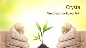 Presentation with young plant - Theme consisting of new age - old hands and young plant background and a white colored foreground