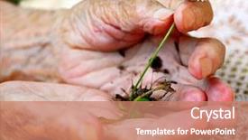  Presentation with old age - PPT theme consisting of new age - old woman holding plant background and a coral colored foreground