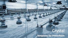  Presentation with poultry farm - Slide deck having new automated integrated poultry background and a light blue colored foreground