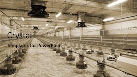 Presentation with poultry farm - Slide deck with new automated integrated poultry background and a coral colored foreground