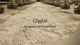  Presentation with poultry farm - Beautiful PPT theme featuring new automated integrated poultry backdrop and a coral colored foreground