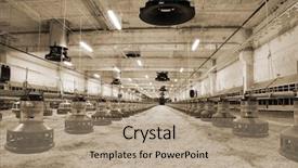  Presentation with poultry farm - PPT layouts having new automated integrated poultry background and a coral colored foreground