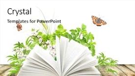  Presentation with new beginning - Audience pleasing slide set consisting of new beginning butterfly - book of nature isolated backdrop and a white colored foreground