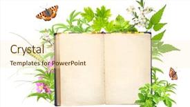  Presentation with new beginning - PPT layouts having new beginning butterfly - book of nature isolated background and a cream colored foreground
