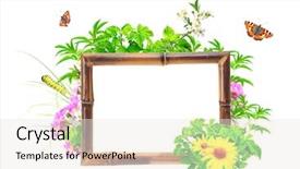  Presentation with new beginning - Beautiful PPT layouts featuring new beginning butterfly - message of nature isolated backdrop and a  colored foreground
