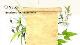  Presentation with new beginning - Audience pleasing presentation consisting of new beginning butterfly - message of nature isolated backdrop and a  colored foreground