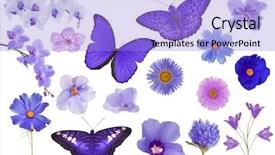 Presentation with new beginning - Beautiful slides featuring new beginning butterfly - set of violet color flowers backdrop and a light blue colored foreground