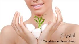  Presentation with new beginning - Audience pleasing theme consisting of new beginning butterfly - stones and plant backdrop and a  colored foreground