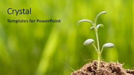  Presentation with new beginnings - Slide deck consisting of new beginnings - birthday of a small plant background and a gold colored foreground