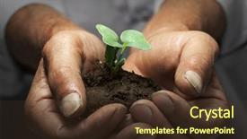  Presentation with new beginnings - Presentation featuring new beginnings - green sprout in senior man background and a tawny brown colored foreground