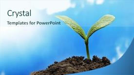  Presentation with new beginnings - Slide set with new beginnings - green sprout on sky background background and a sky blue colored foreground