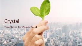  Presentation with new beginnings - Slide deck featuring new beginnings - people ecology biology and environment background and a lemonade colored foreground